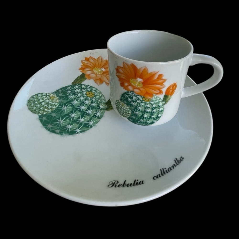 Shafford “desert flowers” 3 luncheon plates, and just one matching cup, 1970-80
